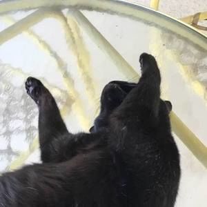 Meet your Posher, Debra